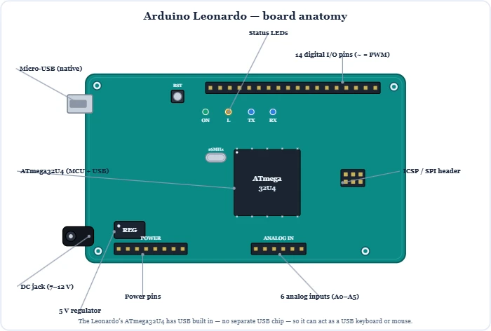 Arduino Leonardo board anatomy showing the native-USB ATmega32U4, micro-USB, DC jack, headers and pinout – Topics | Power4All