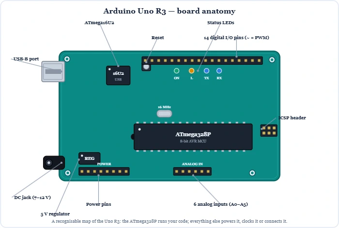 Arduino Uno R3 board anatomy showing the ATmega328P, USB, power jack, headers and pinout diagram – Topics | Power4All